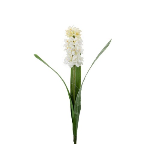 GIACINTO SINGOLO CREAM 45CM